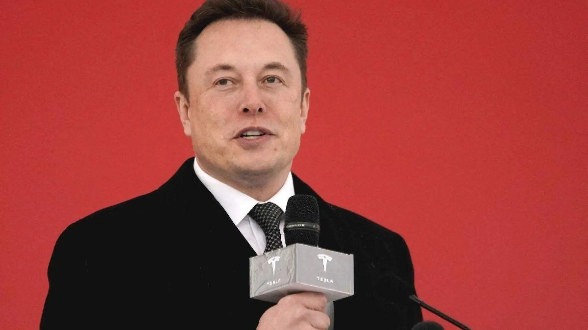 Musk lanza satélites para ampliar internet en Amazonía 